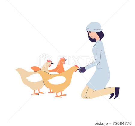 Poultry Breeding On Chicken Factory Or Farm Stock Illustration
