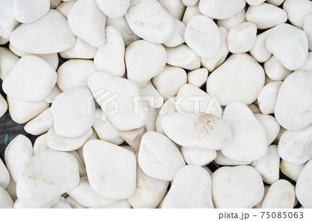 Natural white stones flat lay. Natural pattern. Natural light. Natural white stones flat lay. Natural pattern. Natural light. 75085063