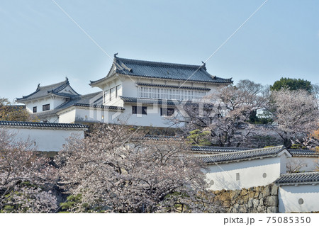 姫路城の化粧櫓と桜 姫路城の化粧櫓と桜 75085350