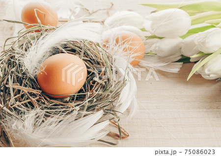 Easter colourful eggs in basket with spring tulips, white feathers on wooden table background in Happy Easter decoration. Spring holiday concept. Easter colourful eggs in basket with spring tulips, white feathers on wooden table background in Happy Easter decoration. Spring holiday concept. 75086023