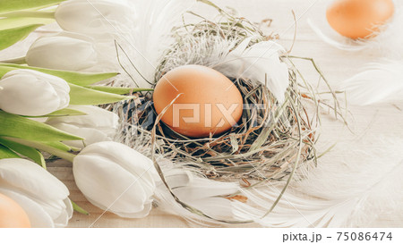 Natural easter colour eggs in basket with spring tulips, white feathers on wooden table background in Happy Easter decoration. Spring holiday concept. Natural easter colour eggs in basket with spring tulips, white feathers on wooden table background in Happy Easter decoration. Spring holiday concept. 75086474