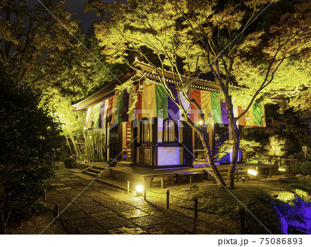 鎌倉・長谷寺　経蔵と紅葉　夜間特別ライトアップ 75086893