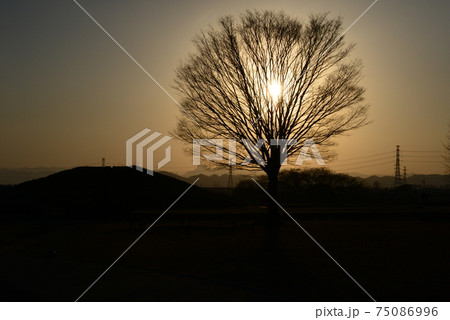 保渡田古墳群の美しい夕景 75086996