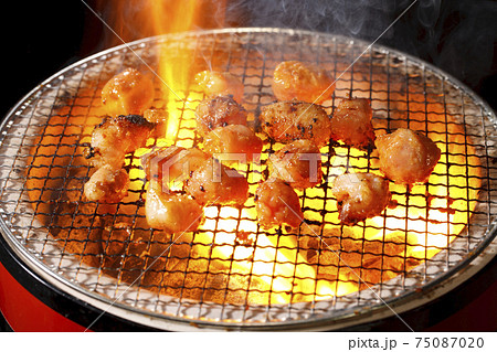 焼肉　ホルモン 75087020