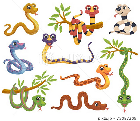 Set of cartoon color snake, funny reptile in various poses a vector illustrations 75087209
