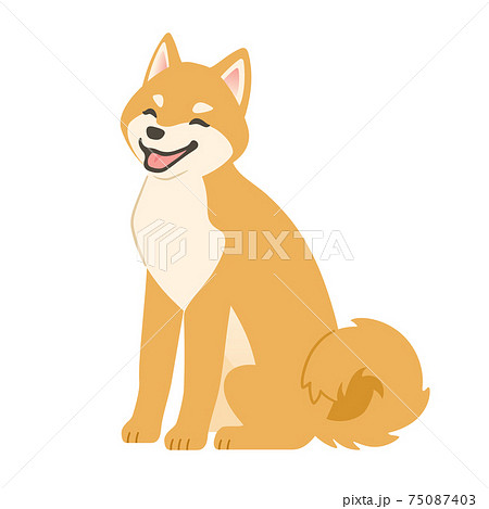 笑顔の柴犬（お座り） 75087403