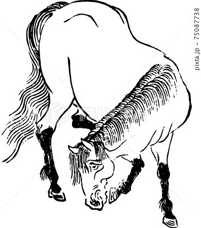 下を向く馬のイラスト素材 下を向く馬のイラスト素材