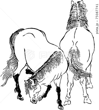 2頭の馬 75087741
