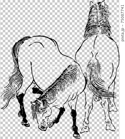 2頭の馬 75087741