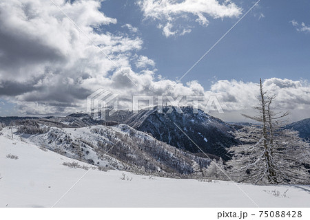 美ヶ原公園沖線から王ヶ鼻、王ヶ頭を望む 75088428