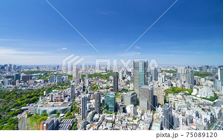 東京 春 六本木から望む大都会 東京 春 六本木から望む大都会 75089120