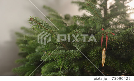 Slow motion handheld shot of green christmass tree with eco decoratios Slow motion handheld shot of green christmass tree with eco decoratios 75090423
