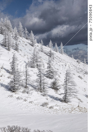 美ヶ原公園沖線沿いの雪景色 75090843