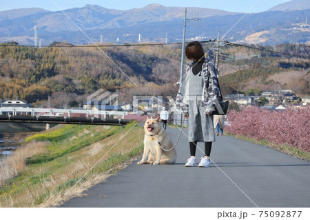 春の堤防を散歩中…休憩 75092877