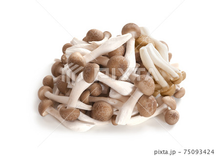 ほぐしたブナシメジ、ほぐしぶなしめじ【白背景】 75093424