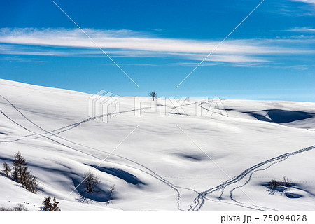 Snowy Winter Landscape of the Lessinia Plateau - Altopiano della Lessinia Veneto Italy 75094028