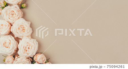 Spring background. Rose flowers on a beige background. Spring background. Rose flowers on a beige background. 75094261