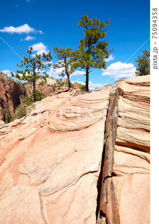 Rock formations in Zion National Park, Utah, US. Rock formations in Zion National Park, Utah, US. 75094358