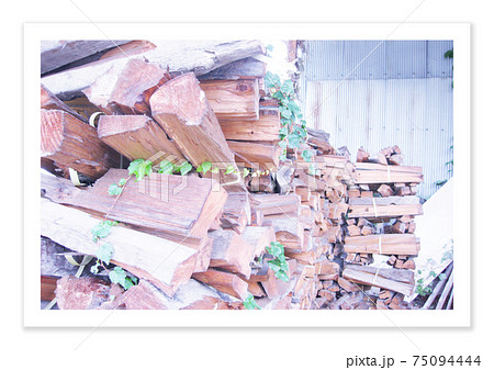 フィルム写真　備前焼の薪 75094444