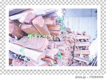 フィルム写真　備前焼の薪 75094444