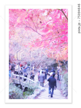 フィルム写真　紅葉 75094646