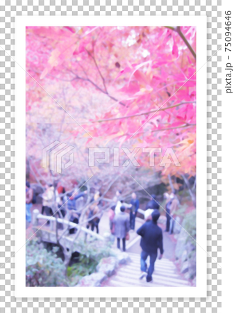 フィルム写真　紅葉 75094646