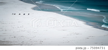 A group of horse riders on a remote beach in south africa A group of horse riders on a remote beach in south africa 75094731
