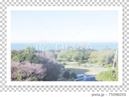 フィルム写真　海 75096050