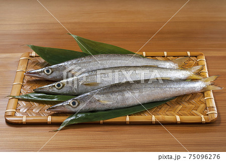 カマス カマス 75096276