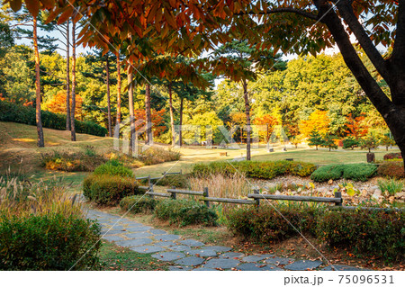 Gwanggyo Central Park at autumn in Suwon, Korea 75096531