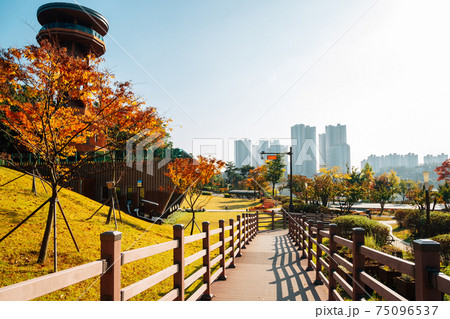 Modern skyscrapers and Gwanggyo Lake Park at autumn in Suwon, Korea 75096537