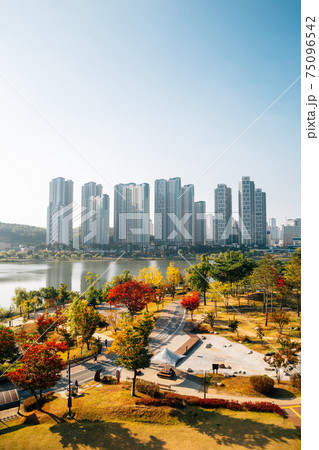 View of modern skyscrapers and Gwanggyo Lake Park at autumn in Suwon, Korea View of modern skyscrapers and Gwanggyo Lake Park at autumn in Suwon, Korea 75096542