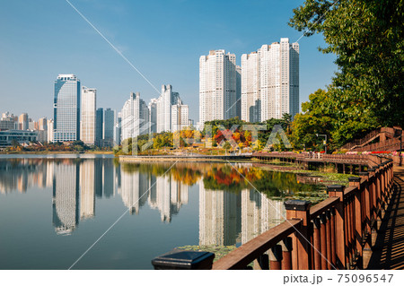 View of modern skyscrapers and Gwanggyo Lake Park in Suwon, Korea View of modern skyscrapers and Gwanggyo Lake Park in Suwon, Korea 75096547