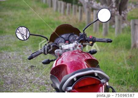 バイクと桜 75096587