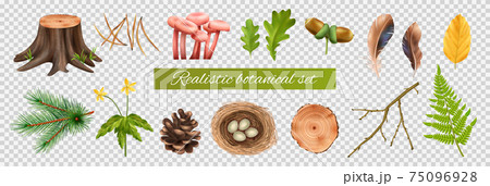 Botanical Icons Transparent Set 75096928