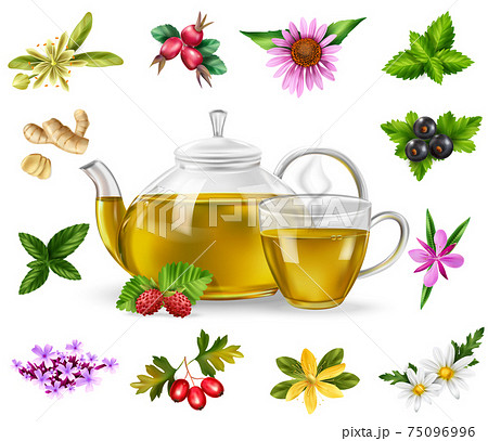 Herbal Tea Set 75096996