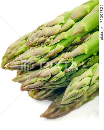 Bunch of asparagus isolated on white. High quality photo. Bunch of asparagus isolated on white. High quality photo. 75097329