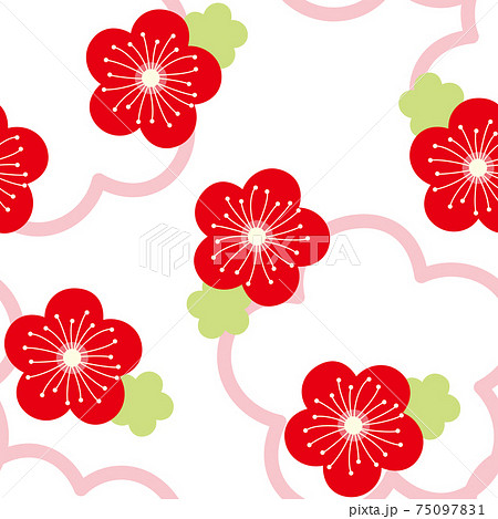 パターン 花柄 和柄 梅 紅梅 ホワイト 白色のイラスト素材