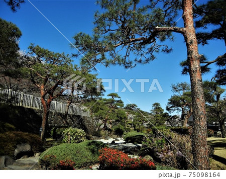 日本のお城：舞鶴城（甲府城跡）公園の中の日本庭園の風景 75098164
