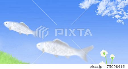 晴天の青空に泳ぐ雲の魚を見上げる草原の白い花 晴天の青空に泳ぐ雲の魚を見上げる草原の白い花 75098416