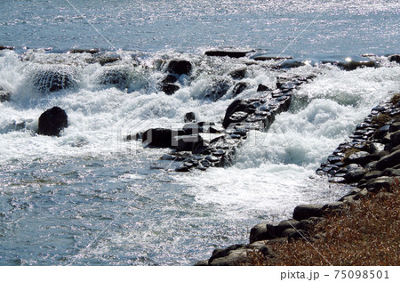川堰の豪快な水流に見る唯一無二の表情 … 島根県 安来市 飯梨川（晴れ） 75098501