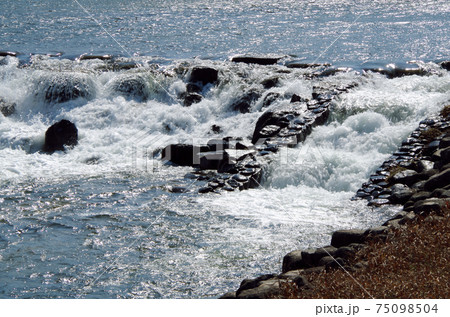 川堰の豪快な水流に見る唯一無二の表情 … 島根県 安来市 飯梨川（晴れ） 75098504