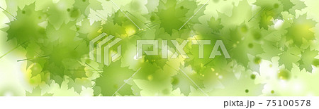 Abstract green leaves shiny summer background 75100578