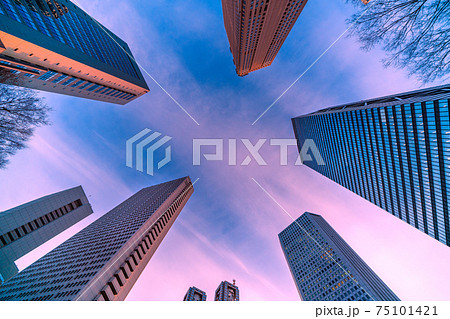 日本の東京都市景観 新宿副都心の摩天楼などを望む 75101421