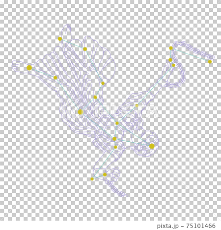88星座系列A星座圖片和星座線在白色背景上-仙女座 75101466