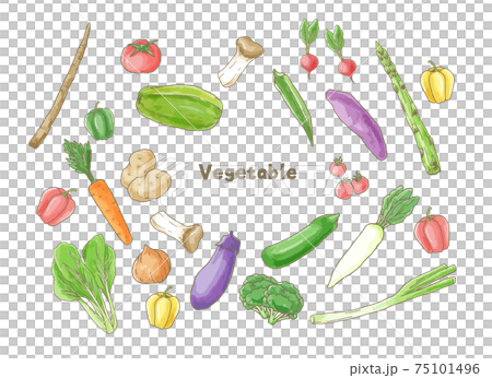 Set of various green and yellow vegetables Set of various green and yellow vegetables 75101496