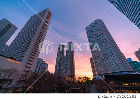 日本の東京都市景観 新宿副都心の超高層ビル群 京王プラザホテルや東京都庁などを望むの写真素材