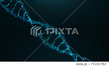 DNA building illustration. Abstract digital DNA molecule consisting particles. DNA molecule with modified genes. Concept medical research, biology and artificial intelligence, 3D illustration DNA building illustration. Abstract digital DNA molecule consisting particles. DNA molecule with modified genes. Concept medical research, biology and artificial intelligence, 3D illustration 75101762