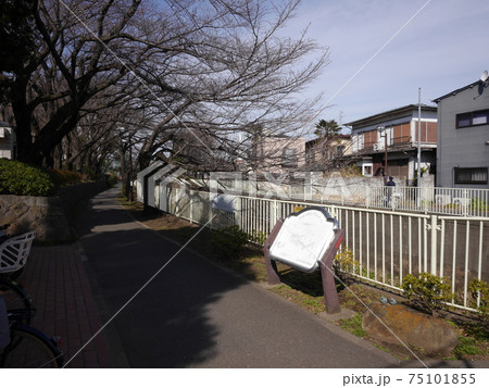杉並区下高井戸五丁目の塚山公園の写真 杉並区下高井戸五丁目の塚山公園の写真 75101855