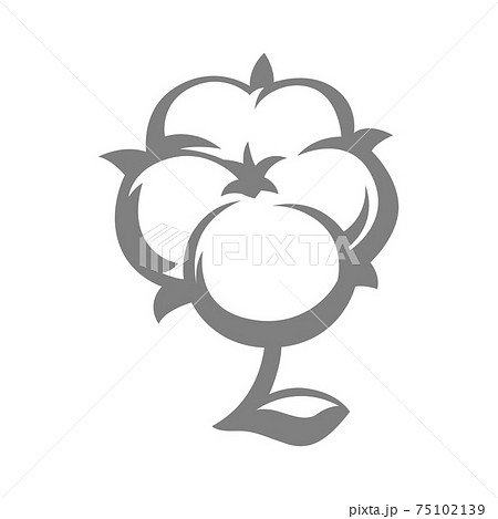 Illustration of twig with cotton balls. 75102139